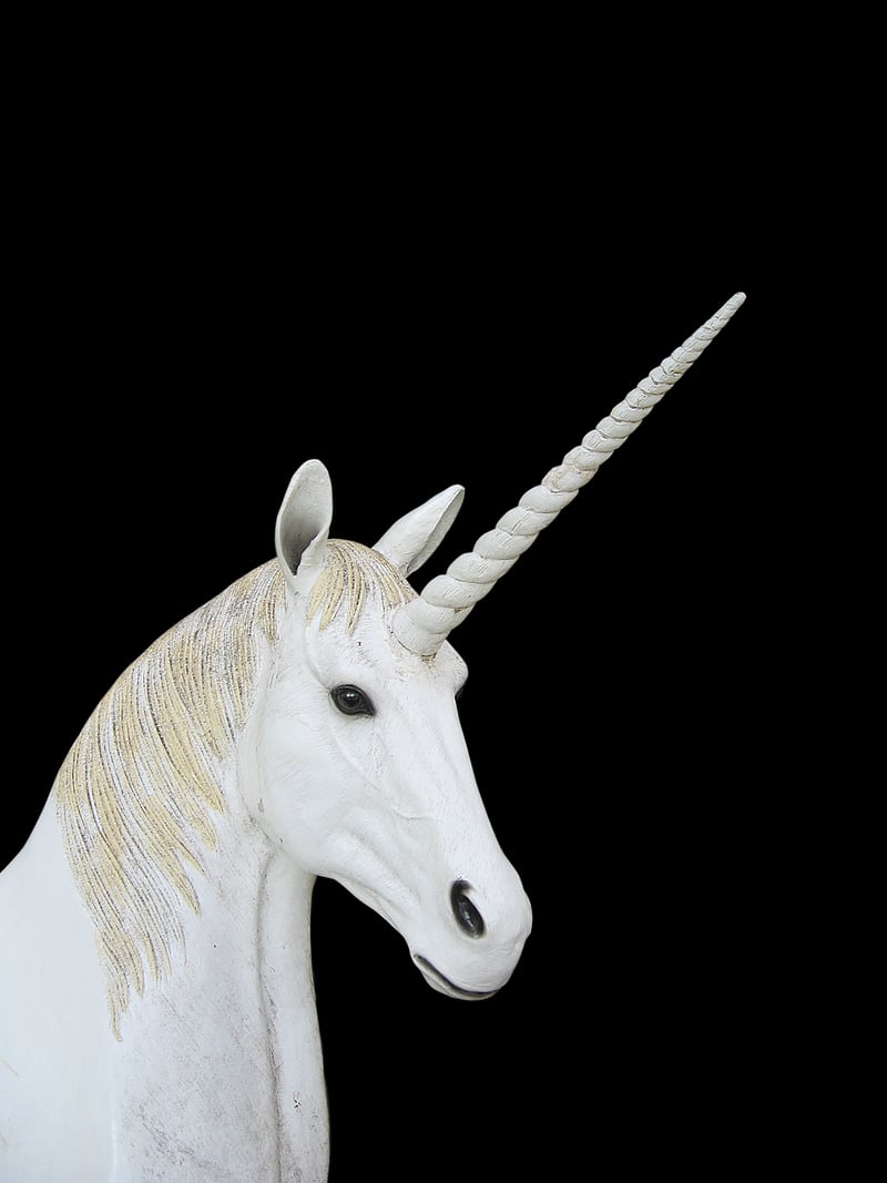 Unicorn Parade